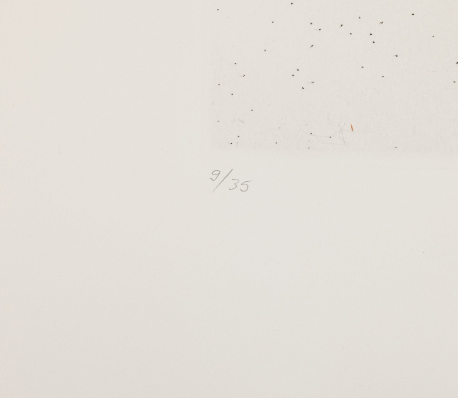 Salvador Dali (1904-1989), "FlorDali - Les Fruits", 1969, 10 pointes-sèches et lithographies en - 12