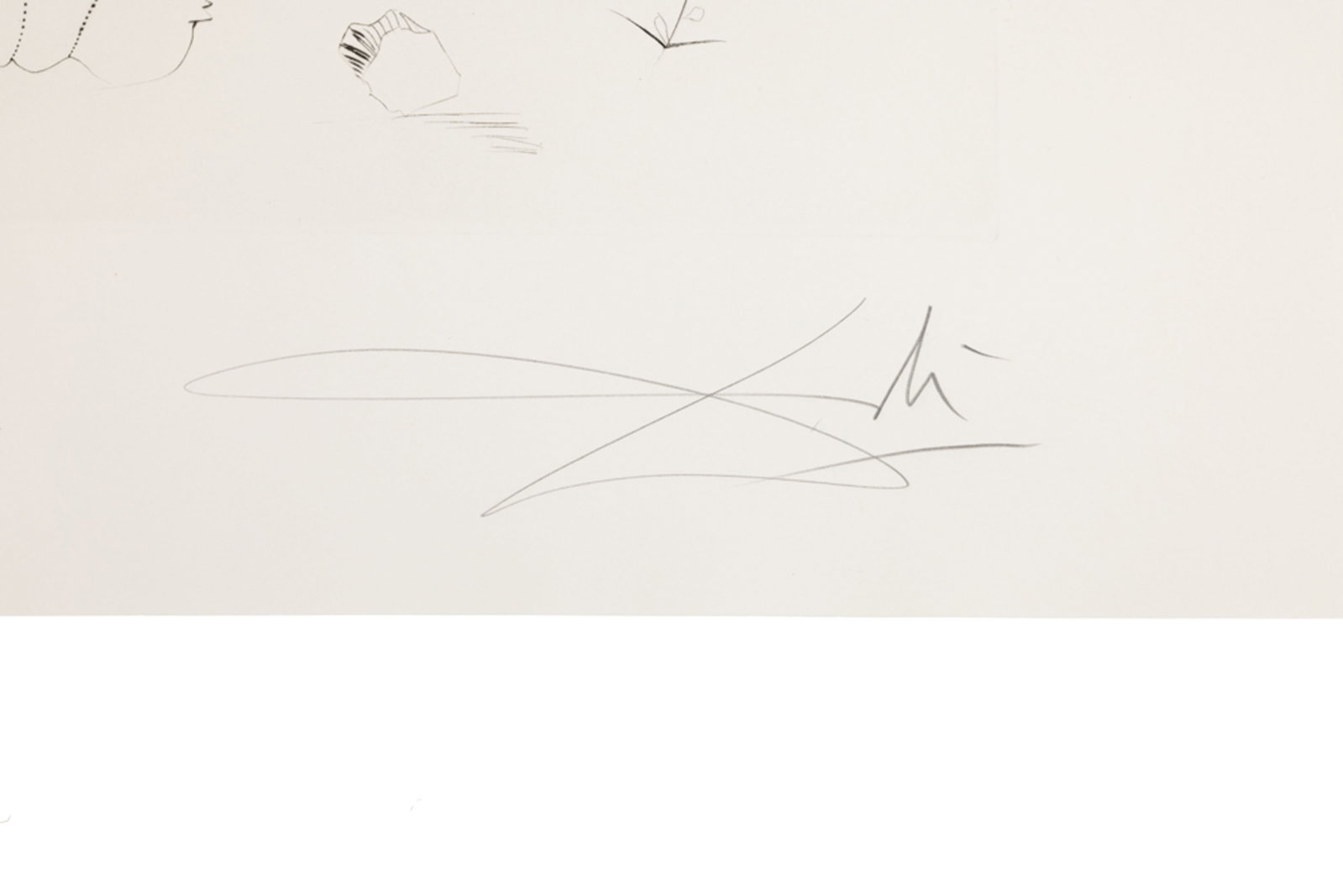 Salvador Dali (1904-1989), "FlorDali - Les Fruits", 1969, 10 pointes-sèches et lithographies en - 14