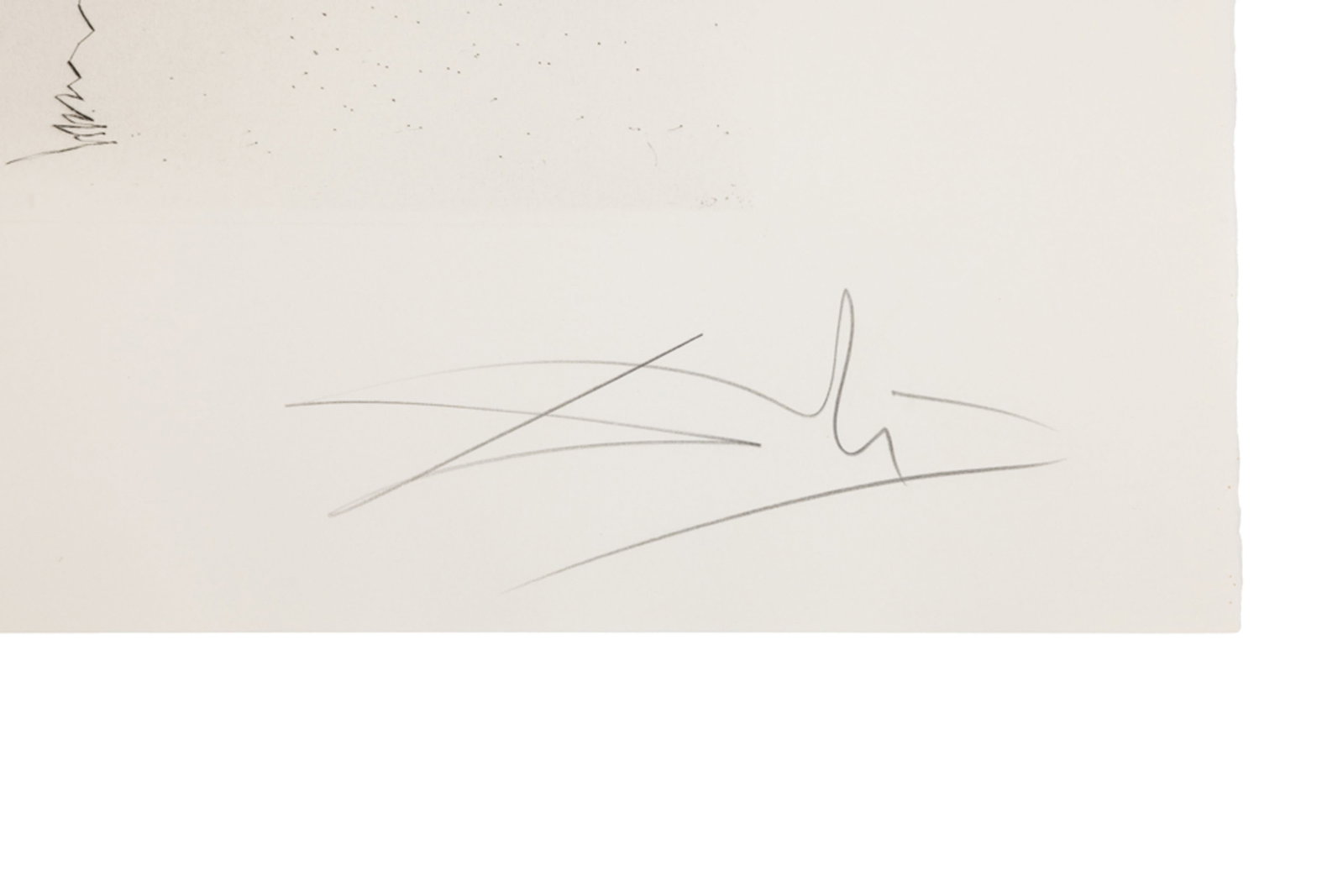 Salvador Dali (1904-1989), "FlorDali - Les Fruits", 1969, 10 pointes-sèches et lithographies en - 15