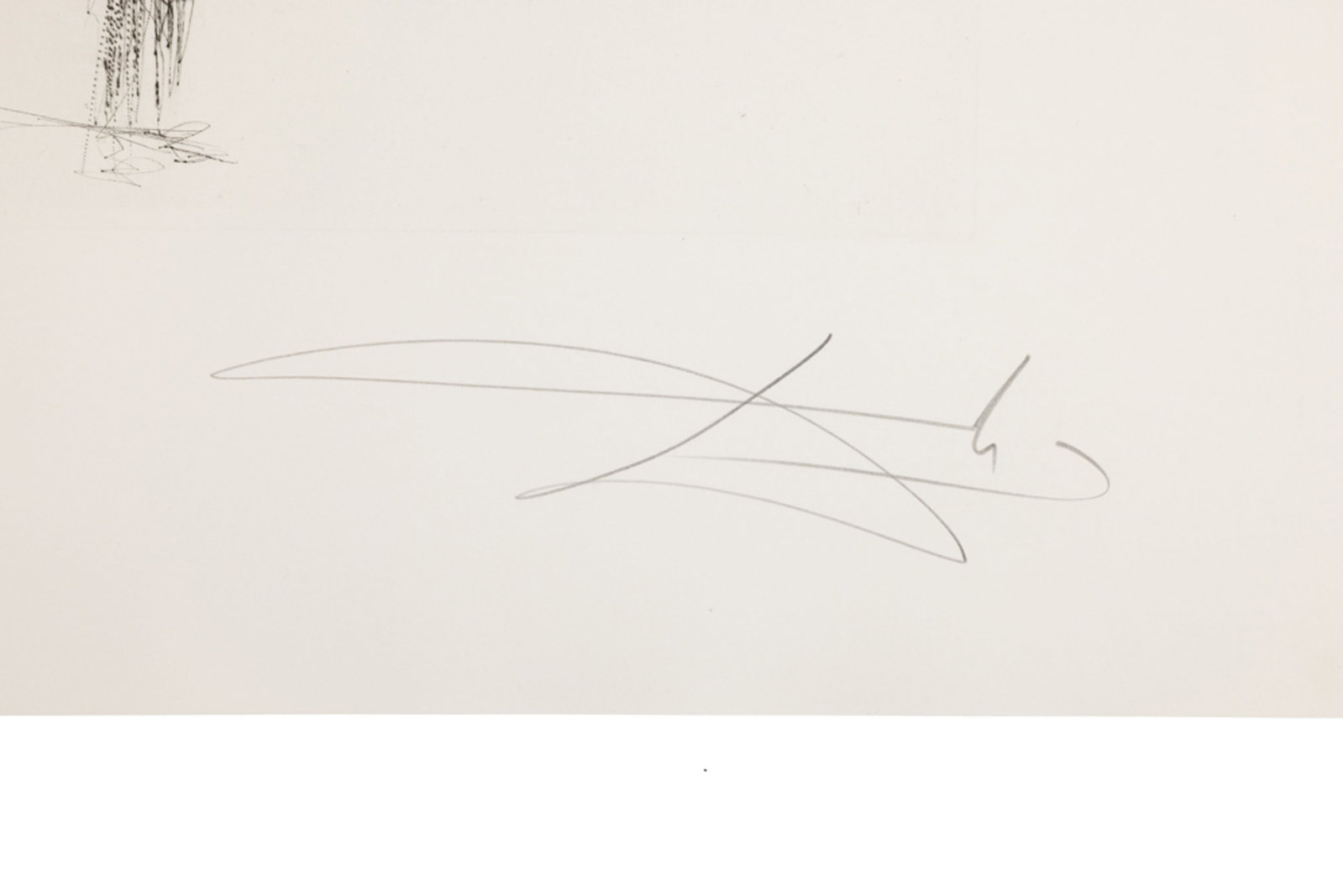 Salvador Dali (1904-1989), "FlorDali - Les Fruits", 1969, 10 pointes-sèches et lithographies en - 16