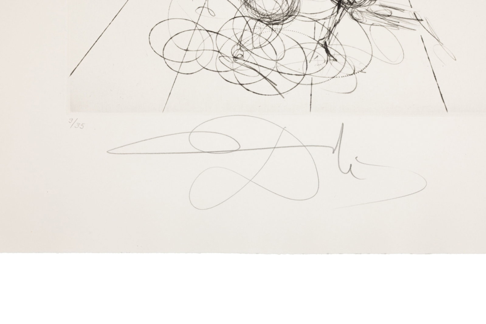 Salvador Dali (1904-1989), "FlorDali - Les Fruits", 1969, 10 pointes-sèches et lithographies en - 18
