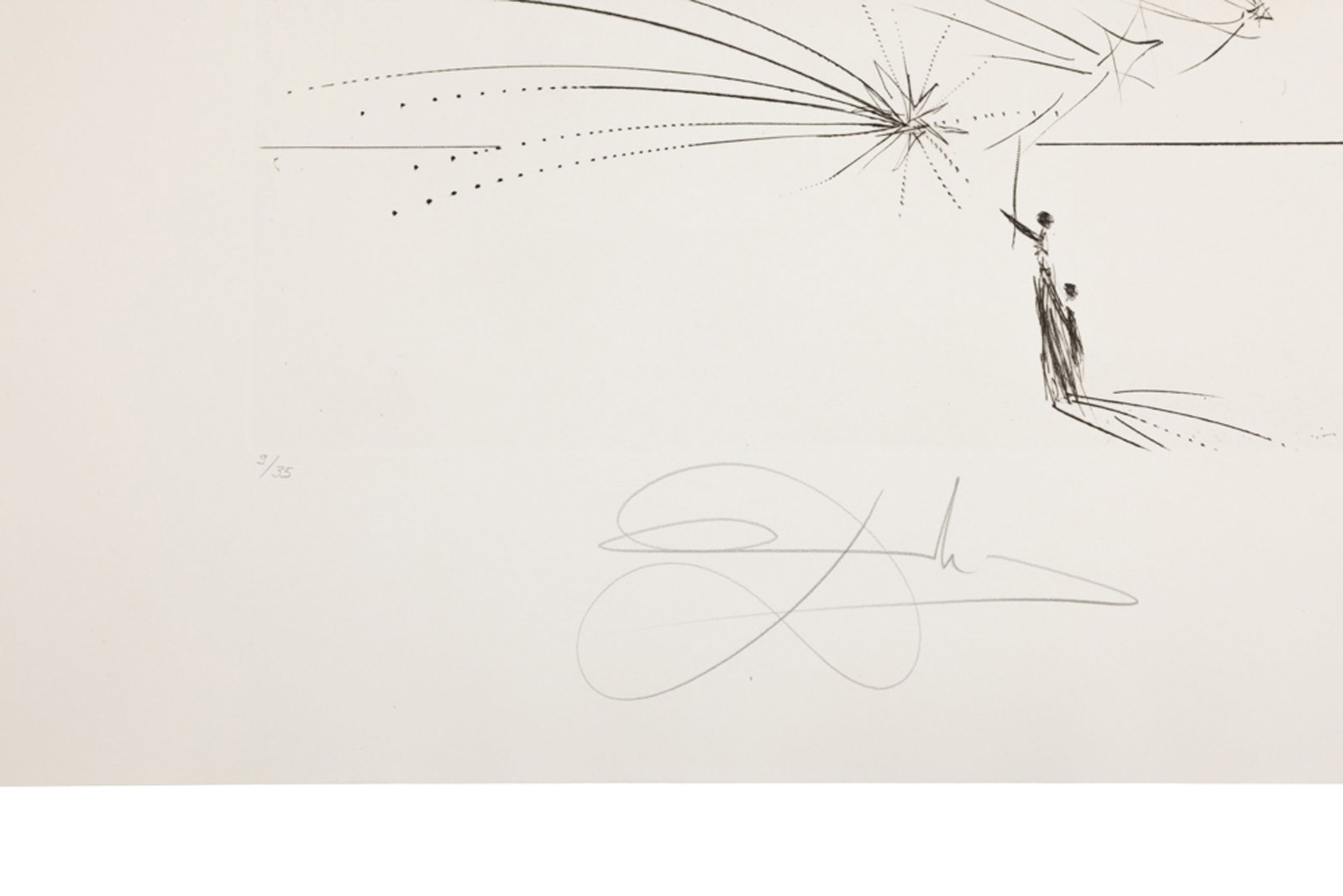 Salvador Dali (1904-1989), "FlorDali - Les Fruits", 1969, 10 pointes-sèches et lithographies en - 19