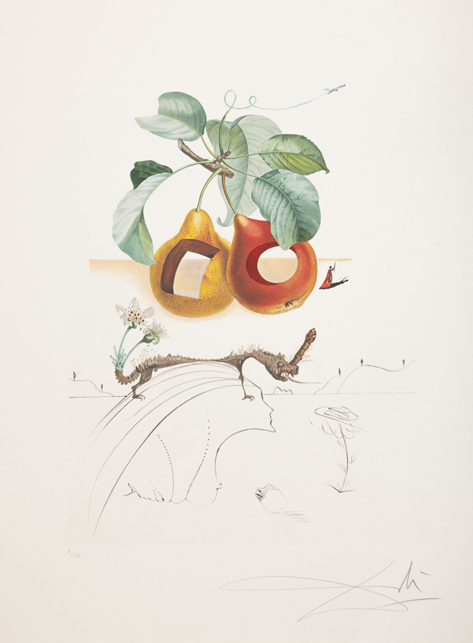 Salvador Dali (1904-1989), "FlorDali - Les Fruits", 1969, 10 pointes-sèches et lithographies en: Salvador Dali (1904-1989), "FlorDali - Les Fruits", 1969, 10 pointes-sèches et lithographies en couleurs, toutes signées et numérotées 9/35, 75x55 cm Bibliographie: R. Michler et L