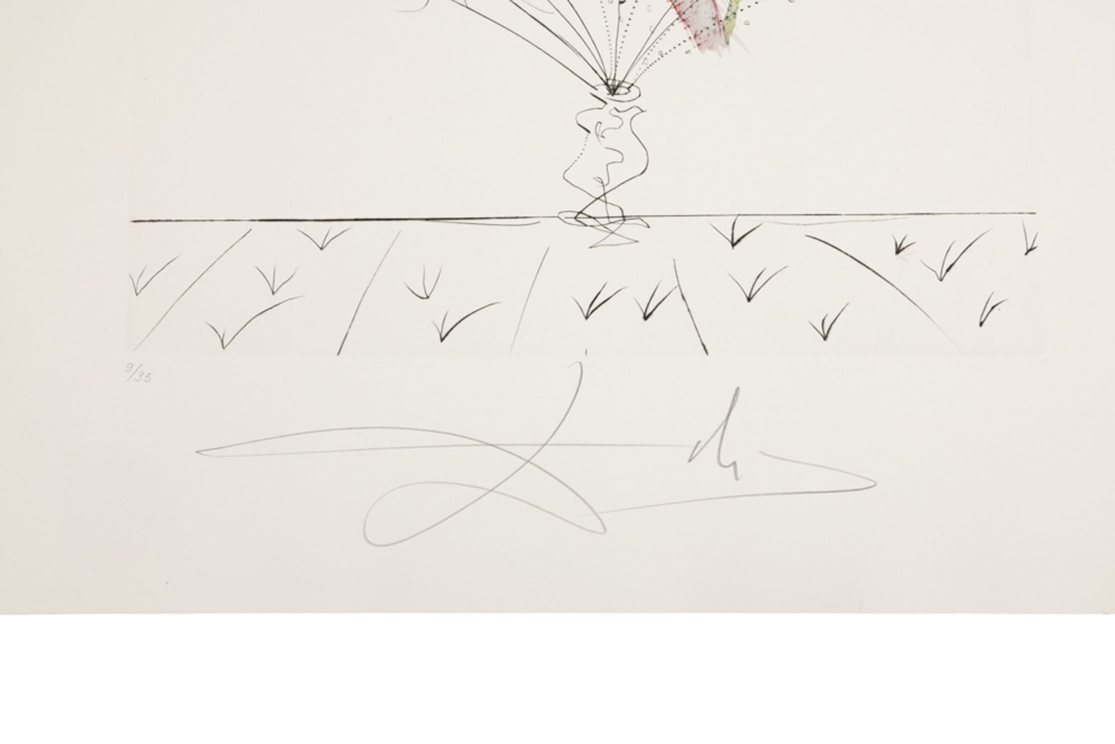 Salvador Dali (1904-1989), "FlorDali - Les Fruits", 1969, 10 pointes-sèches et lithographies en - 20