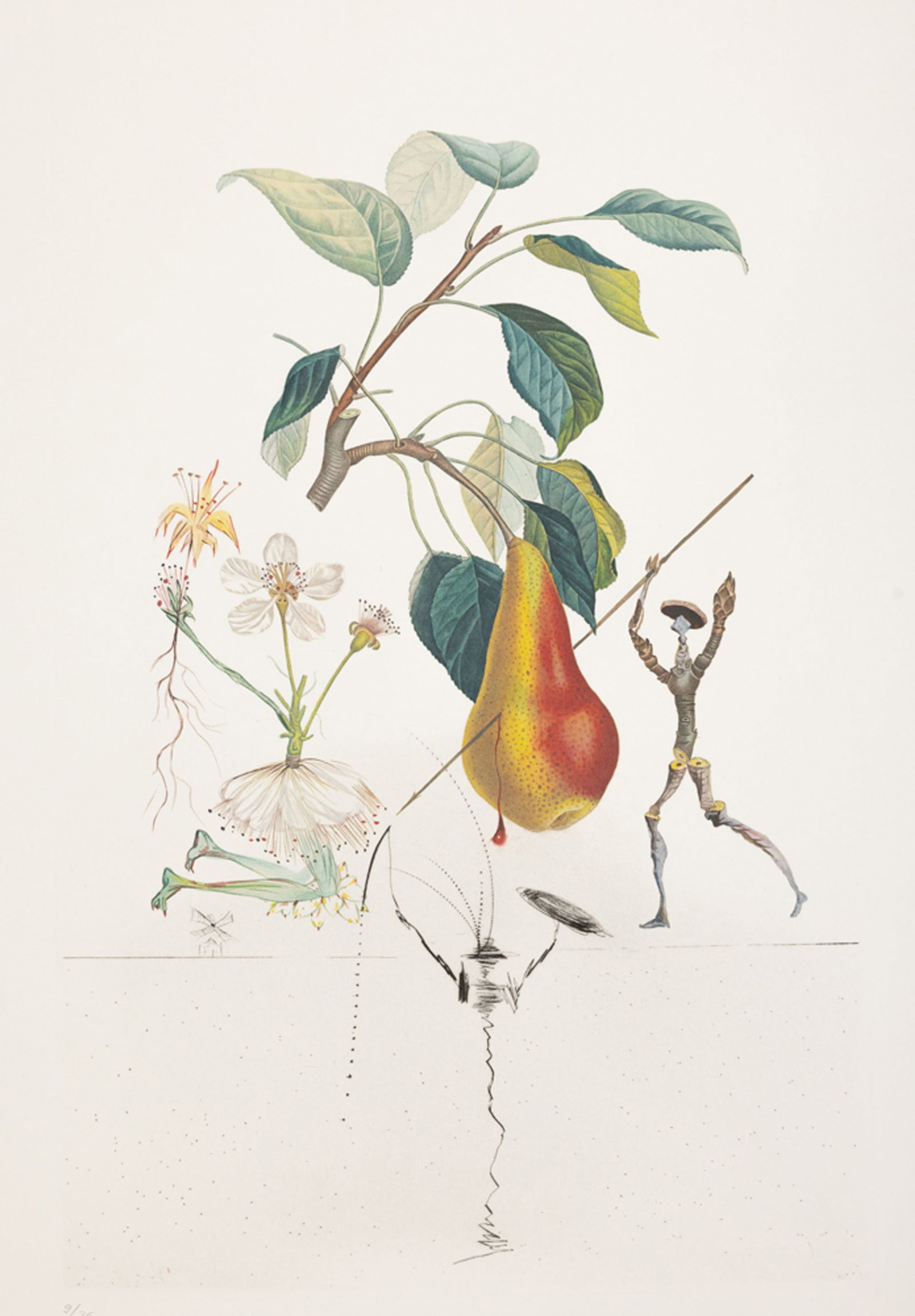 Salvador Dali (1904-1989), "FlorDali - Les Fruits", 1969, 10 pointes-sèches et lithographies en - 2