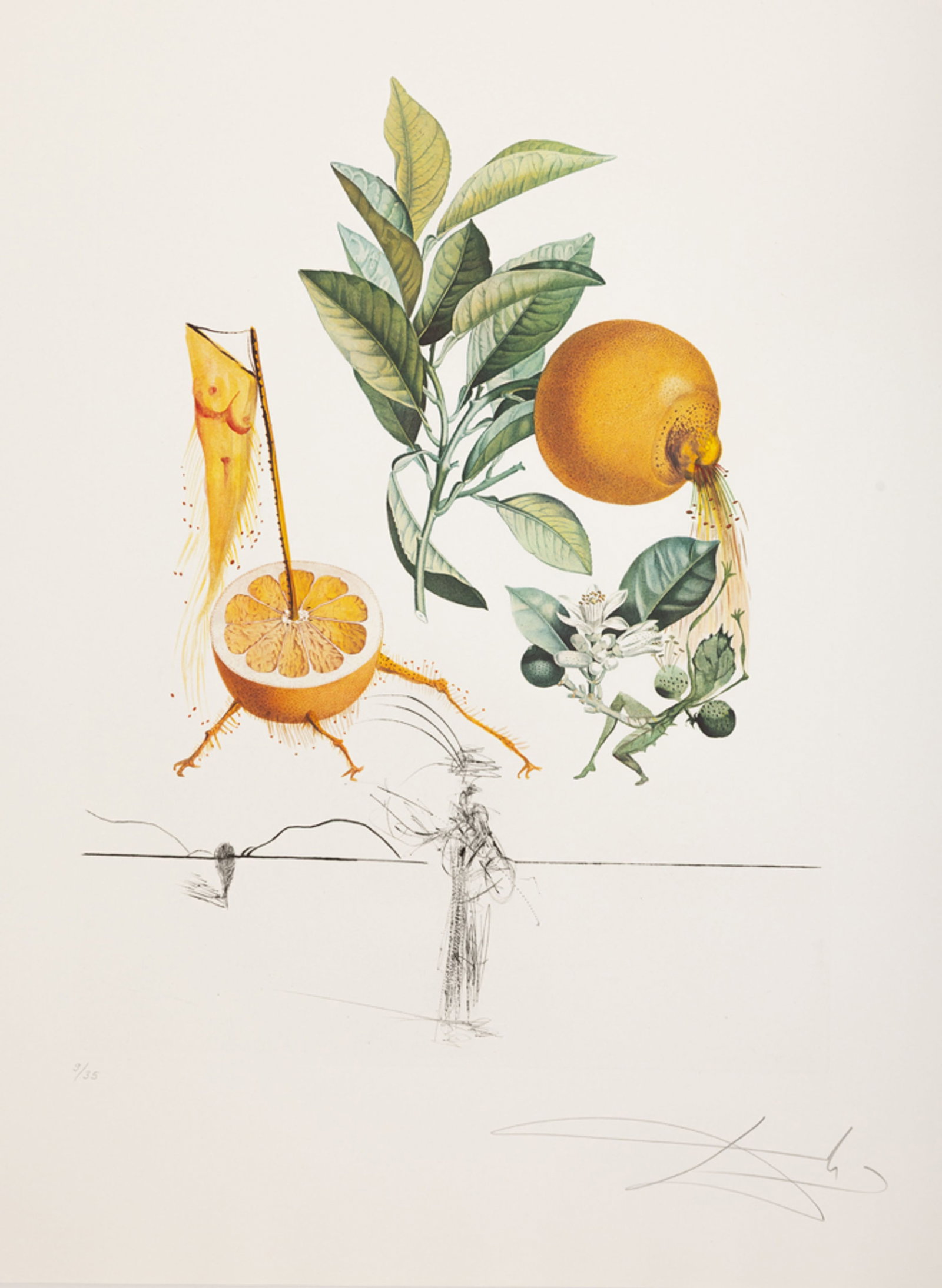 Salvador Dali (1904-1989), "FlorDali - Les Fruits", 1969, 10 pointes-sèches et lithographies en - 3