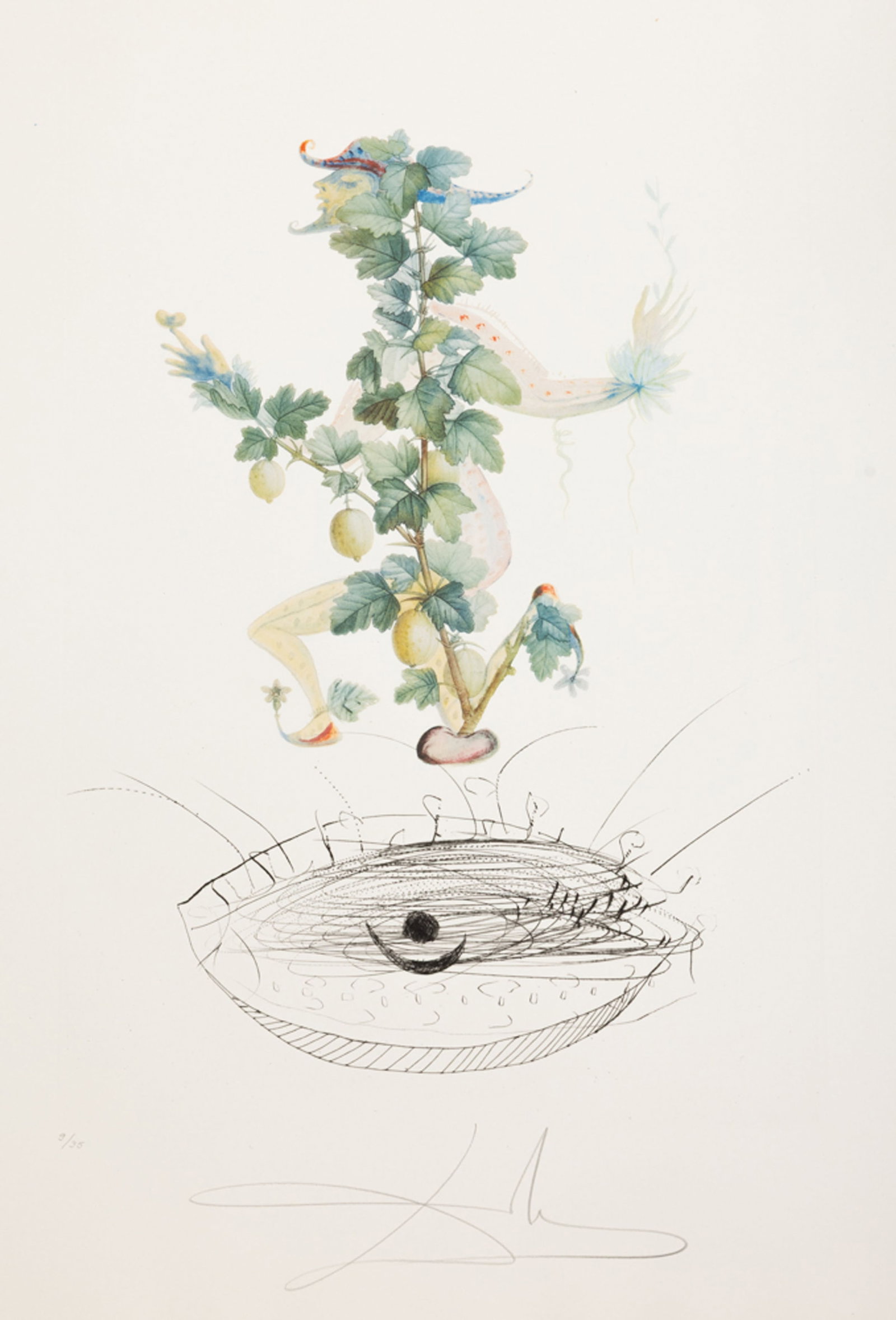 Salvador Dali (1904-1989), "FlorDali - Les Fruits", 1969, 10 pointes-sèches et lithographies en - 4