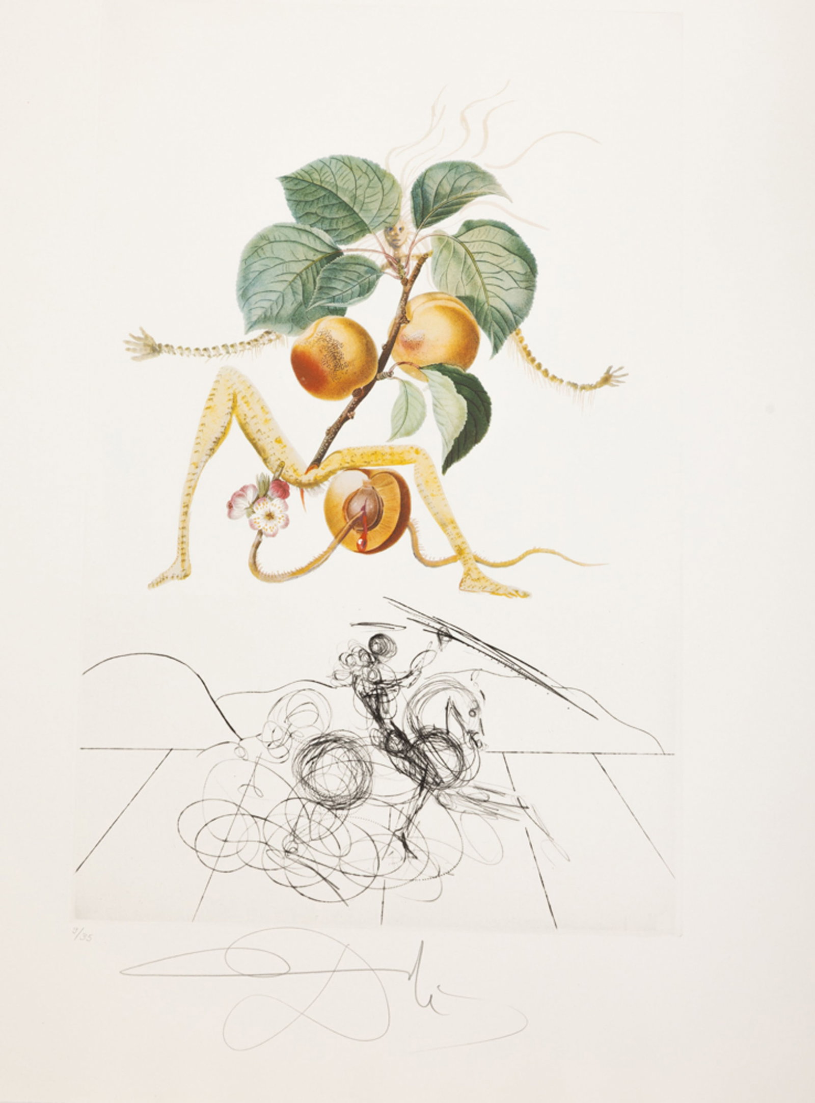 Salvador Dali (1904-1989), "FlorDali - Les Fruits", 1969, 10 pointes-sèches et lithographies en - 5