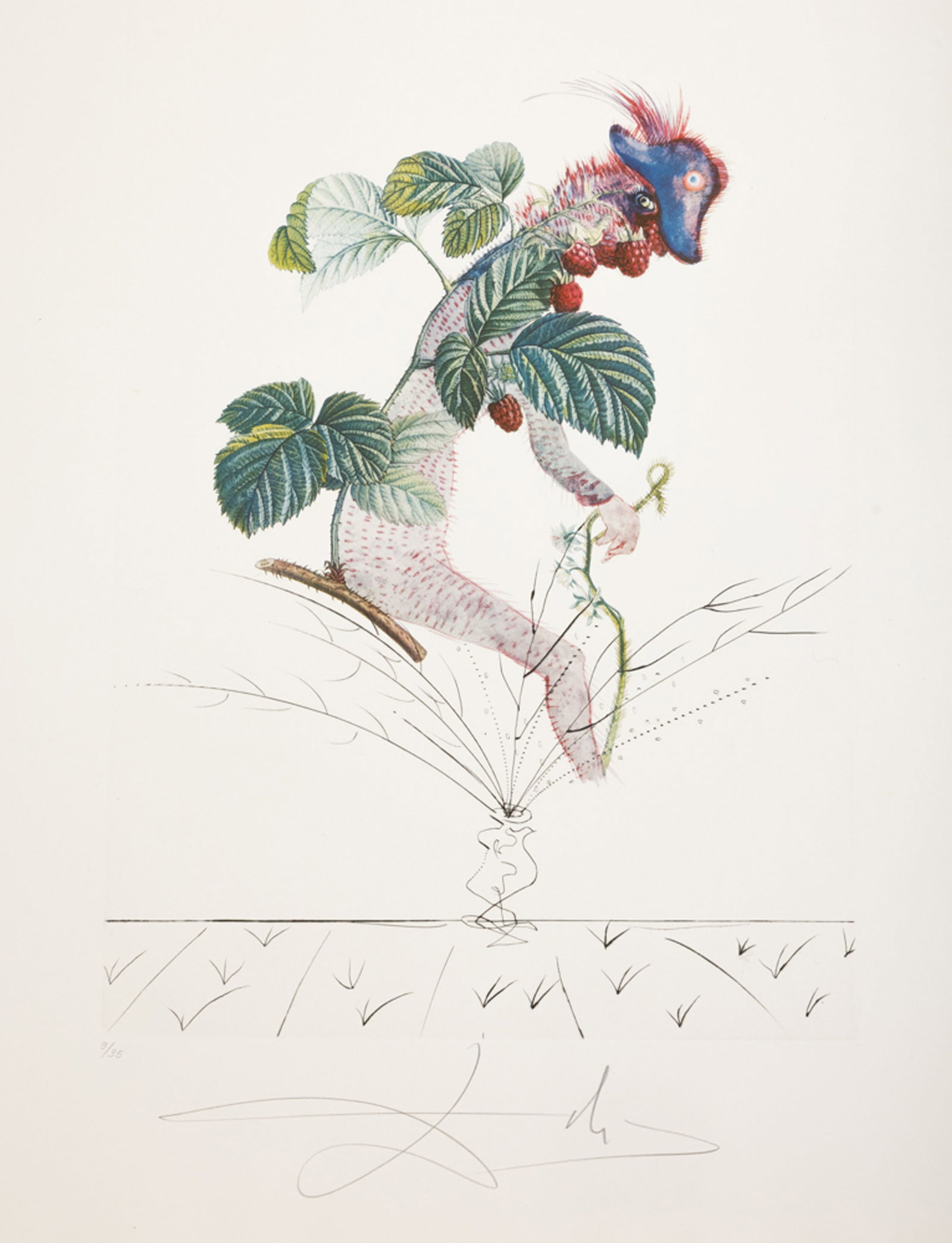 Salvador Dali (1904-1989), "FlorDali - Les Fruits", 1969, 10 pointes-sèches et lithographies en - 7