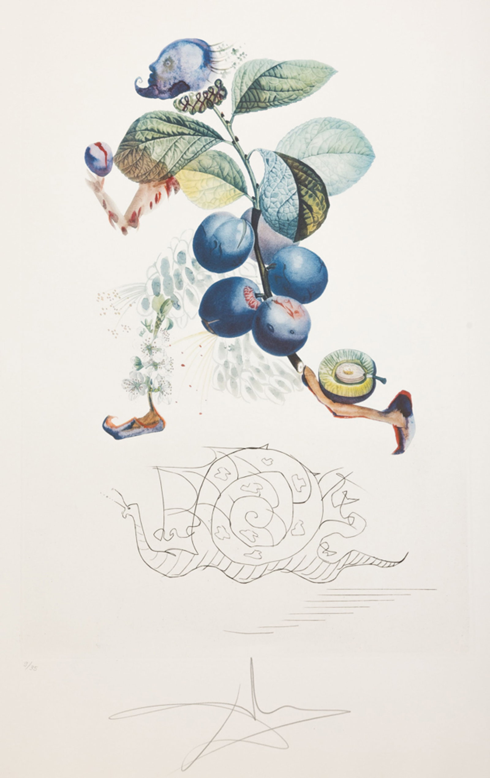 Salvador Dali (1904-1989), "FlorDali - Les Fruits", 1969, 10 pointes-sèches et lithographies en - 9