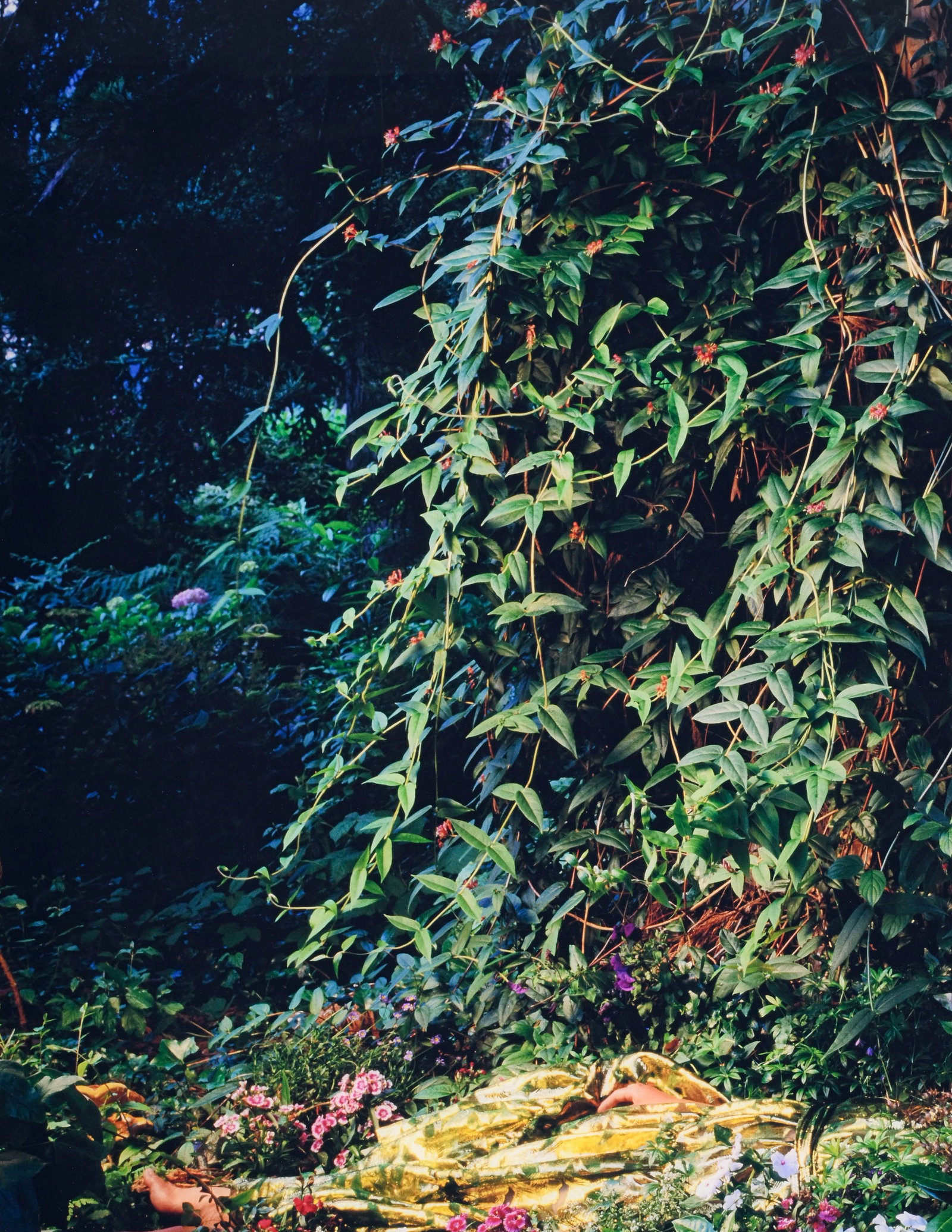 Nathalie Rebholz (1978), Femme couchée dans la forêt, C-print sous plexiglas, 100x100 cm - 2