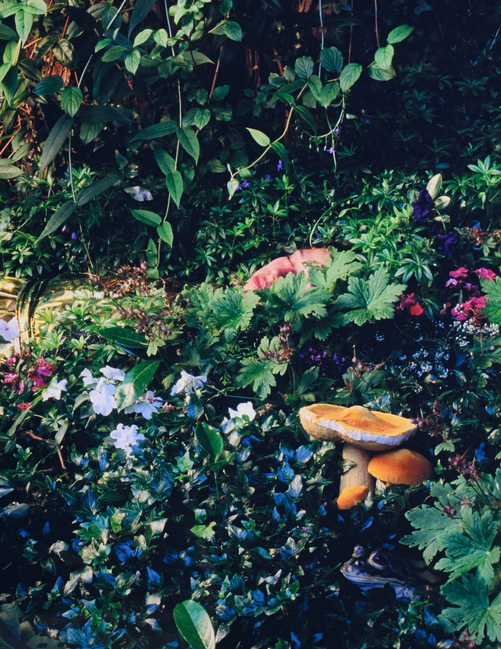 Nathalie Rebholz (1978), Femme couchée dans la forêt, C-print sous plexiglas, 100x100 cm - 3