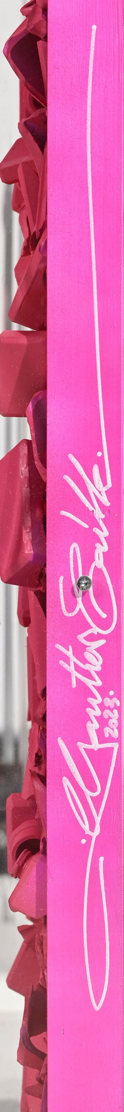 Gautier Caille (1989), "Numéro 5 l'épileptic violet \[...\]", 2023, tableau-volume sous pl - 5