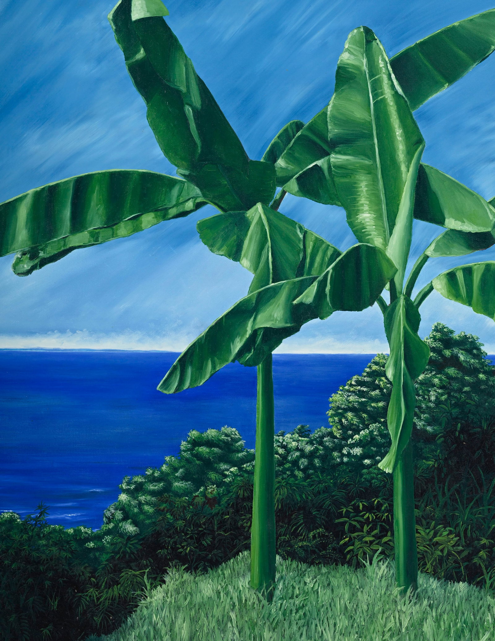 Luiz Zuddio (XX-XXI), Bananiers en bord de mer, 1984, huile sur toile, signée, datée "janv - 2