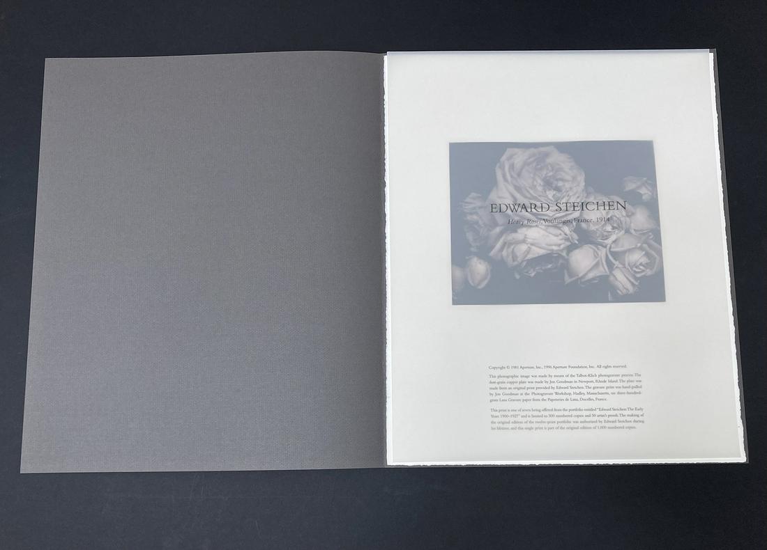 Edward Steichen, Heavy Roses, 1914 (1 of 3)