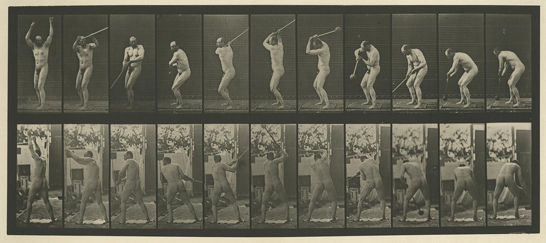 Eadweard Muybridge, plate 308, 1887: Eadweard Muybridge, plate 308, from Animal Locomotion, 1887. vintage collotype print, 7 x 16 1/4 inch image on a 19 x 24 inch sheet. Condition is excellent, plate is rich and clean. Edge fading on she