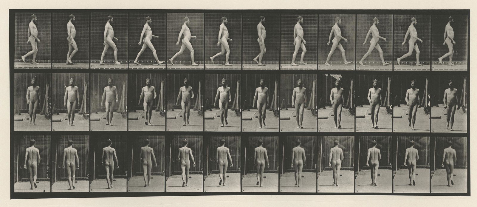 Eadweard Muybridge, plate 389, 1887: Eadweard Muybridge, plate 389, from Animal Locomotion, 1887. vintage collotype print, 7 x 17 1/4 inch image on a 19 x 24 inch sheet. Condition is excellent, plate is rich and clean. Edge fading on she