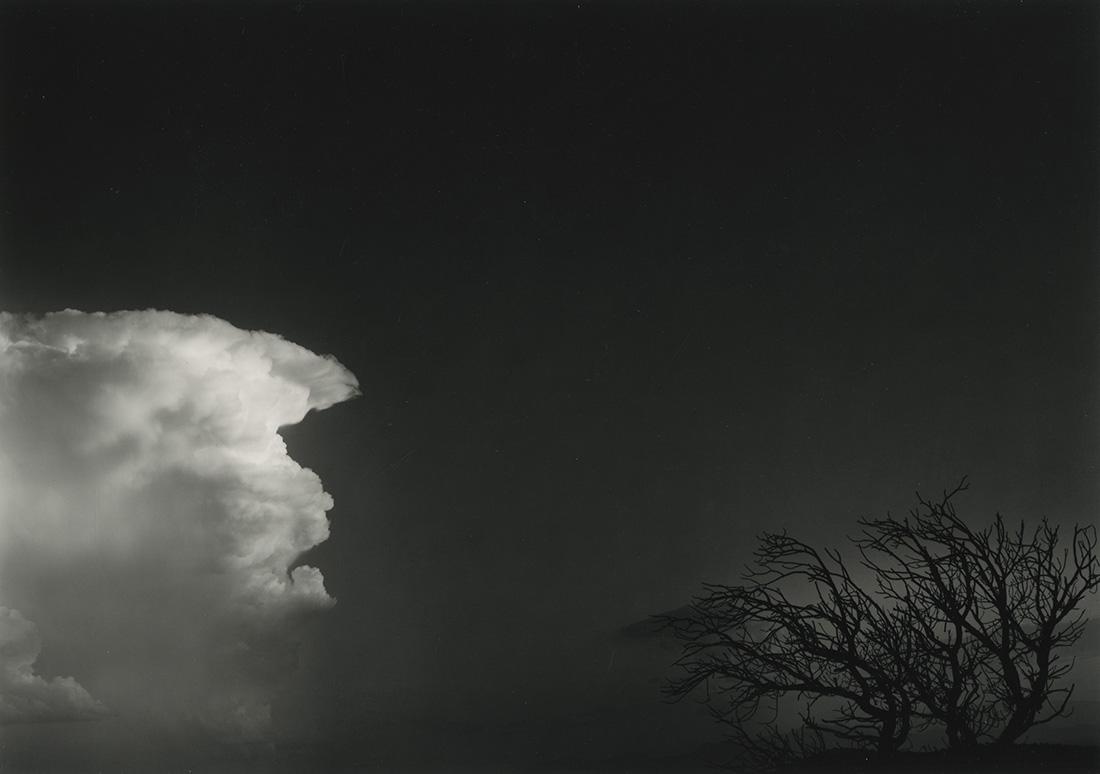 Paul Caponigro, San Sebastian, NM, 1980: Paul Caponigro , San Sebastian, New Mexico (horizontal), 1980. gelatin silver print, 9 3/4 x 13 5/8 inches, mounted 18 x 22 inches. Signed on the mat and mount recto. Condition is excellent. landscape