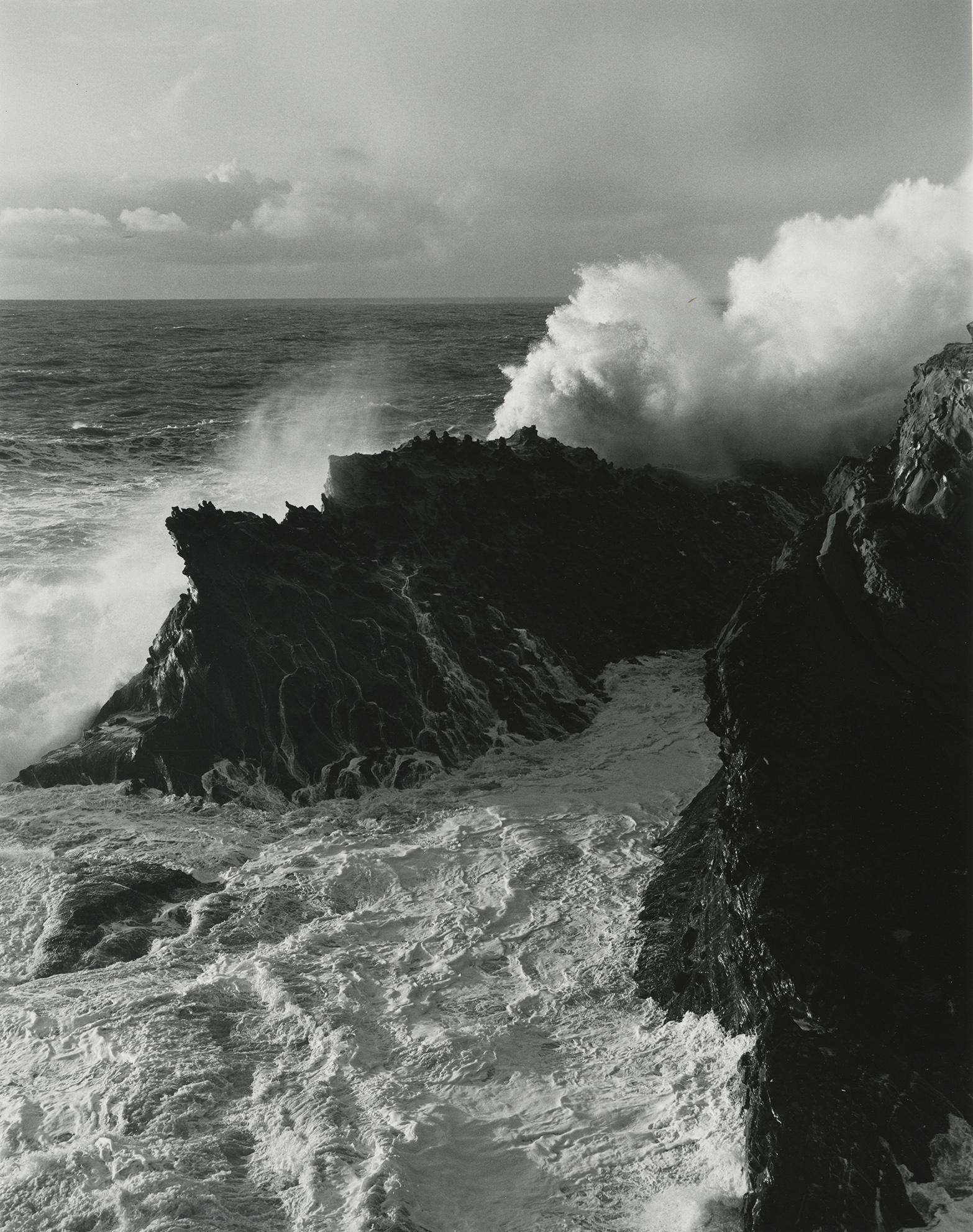 Mathias Van Hesemans, Shore Acres, 1988: Mathias Van Hesemans, Shore Acres, Oregon, 1988. vintage gelatin silver print, 13 1/4 x 10 1/2inches. Signed on the mount/mat recto. Condition is excellent