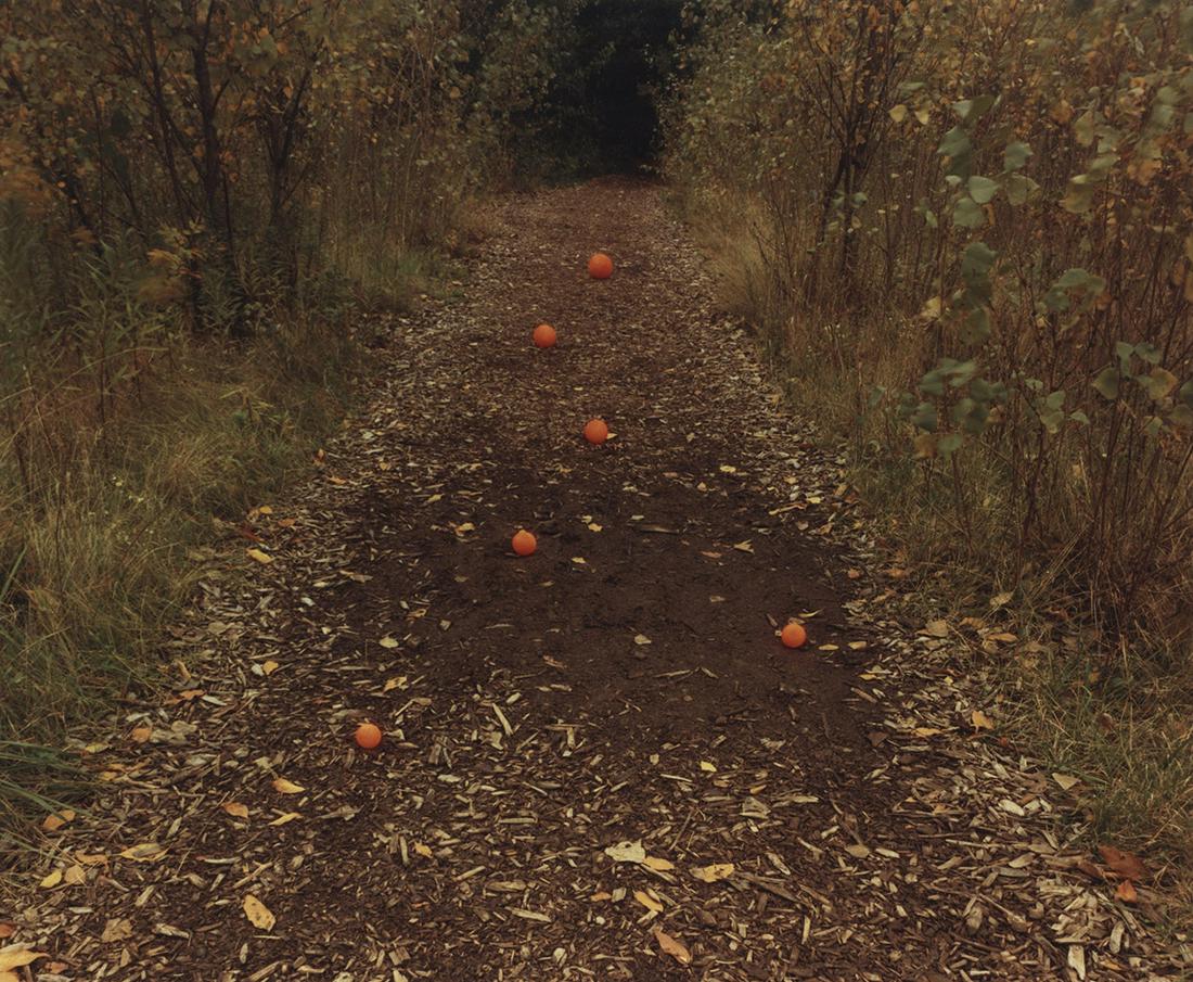 John Pfahl, Six Oranges, 1975: John Pfahl, Six Oranges, 1975. Special edition chromogenic print, printed later, 8 x 10 inches. From an edtion of 100. Signed on the print verso. Condition is excellent, very minor edge fading Contemp