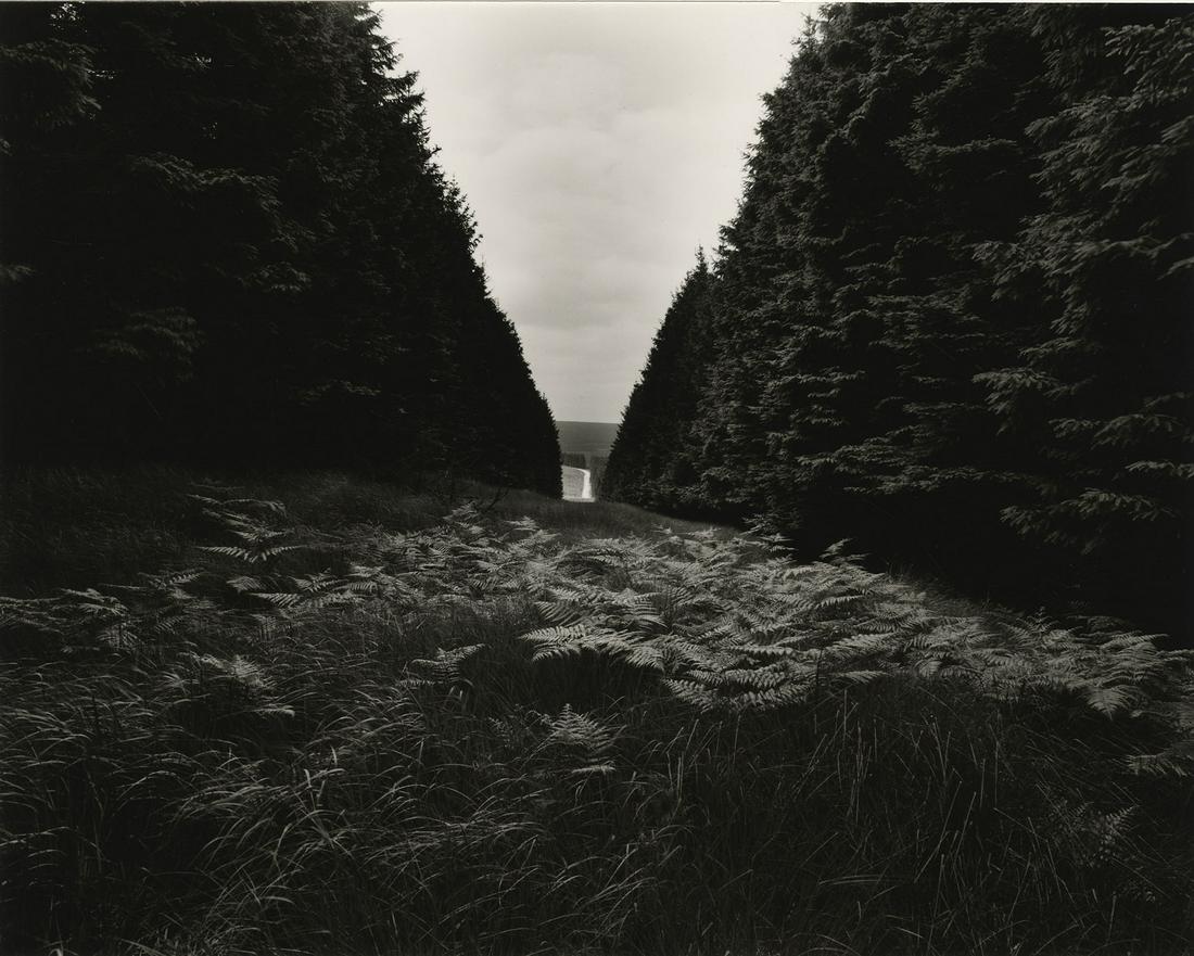 Murray Johnston, untitled, 1982: Murray Johnston, untitled, landscape, 1982. vintage gelatin silver print, 10 1/2 x 13 1/4 inches,mounted 16 x 20 inches, signed on the mount recto and with the artist stamp on the verso. Condition is 