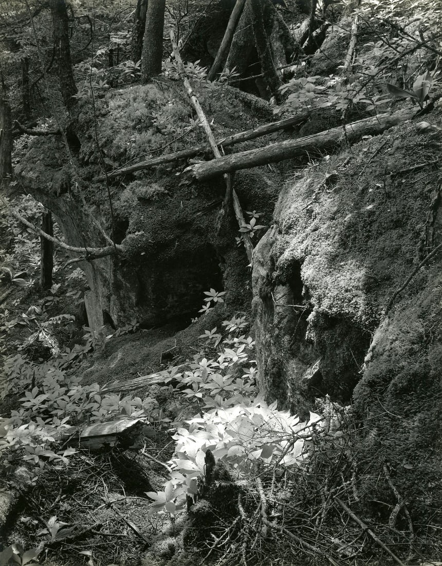 Paul Caponigro, Ravens Gulch, 1960: Paul Caponigro, Ravens Gulch, Lubec, Maine. gelatin silver print fromPortfolio One: 12 Photographs. Print measures: 9 5/8 x 7 5/8 inches, mounted 14 x 17 inches. Signed on the mount recto. Condition i