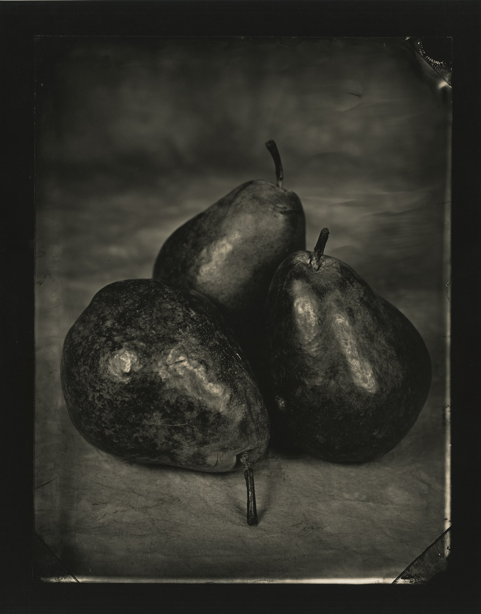Tom Baril, Pears, 2002: Tom Baril, Pears, 2002. polytoned gelatin silver print from a wet-plate collodion negative, 17 1/2 x 12 1/2 inches. Signed on the print verso. Condition is excellent Black and White Still Life, Flower