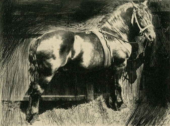 Frank Eugene, Horse, 1910: Frank Eugene, Horse, 1910. vintage photogravure, from Camera Work No.30, 1910, 3 1/24 1/2 inches. Condition is excellent Alfred Stieglitz, Pictorialism, Pictorialist, Vintage Print, Farm, Horse Biogra