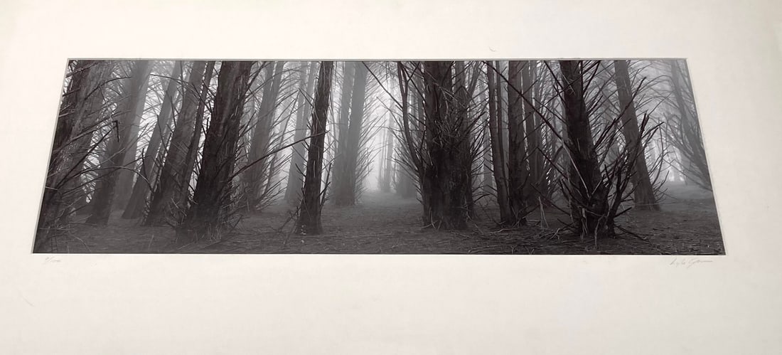 Lyle Gomes, Primordial Forest #2, 1989: Lyle Gomes, Primordial Forest #2, 1989. gelatin silver print, printed 1992. 9 1/2 x 24 inches, mounted and matted 18 x 32 inches. Signed on the mount recto. Edition 2/100. Condition is excellent, mino