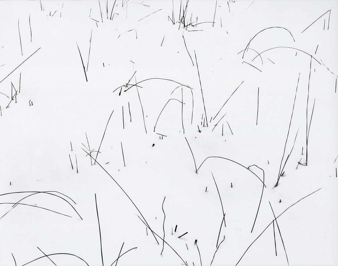 Donald Ross, Grasses in Snow, 1949: Donald Ross, untitled, grasses in snow, 1949. vintage gelatin silver print, 8 x 10 inches,matted 13 1/2 x 15 1/2 inches. Photographers stamp on the print verso. Condition is excellent California Schoo