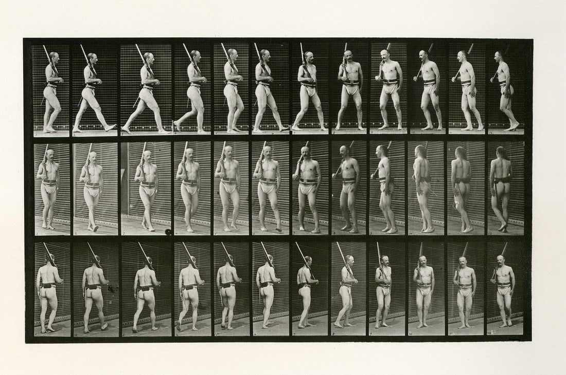 Eadweard Muybridge, Plate 355, 1887: Eadweard Muybridge, Plate 355 from Human and Animal Locomotion, 1887. vintage collotype, 8 x 13 1/2 inches on a 19 x 24 inch sheet. Condition is very good, less chipped left corner Nude Study, Time an