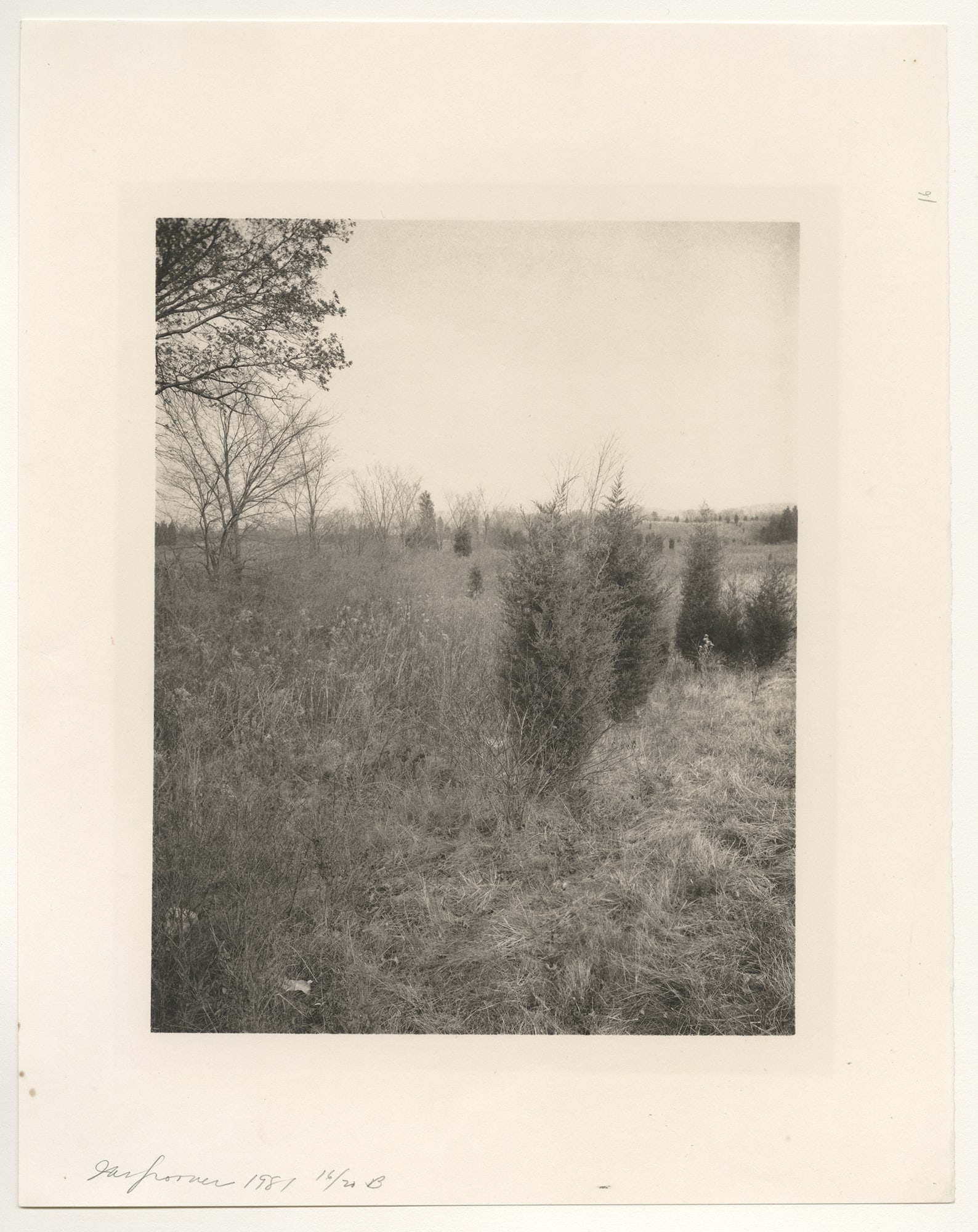 Jan Groover, Plain Fields, 1981: Jan Groover, Plain Fields, 1981. vintage platinum/palladium print, 9 1/2 x 7 1/2 inches on a 14 x 11 inch sheet. Matted 17 x 15 inches. Signed on the print recto and editioned 16/20. Condition is exce