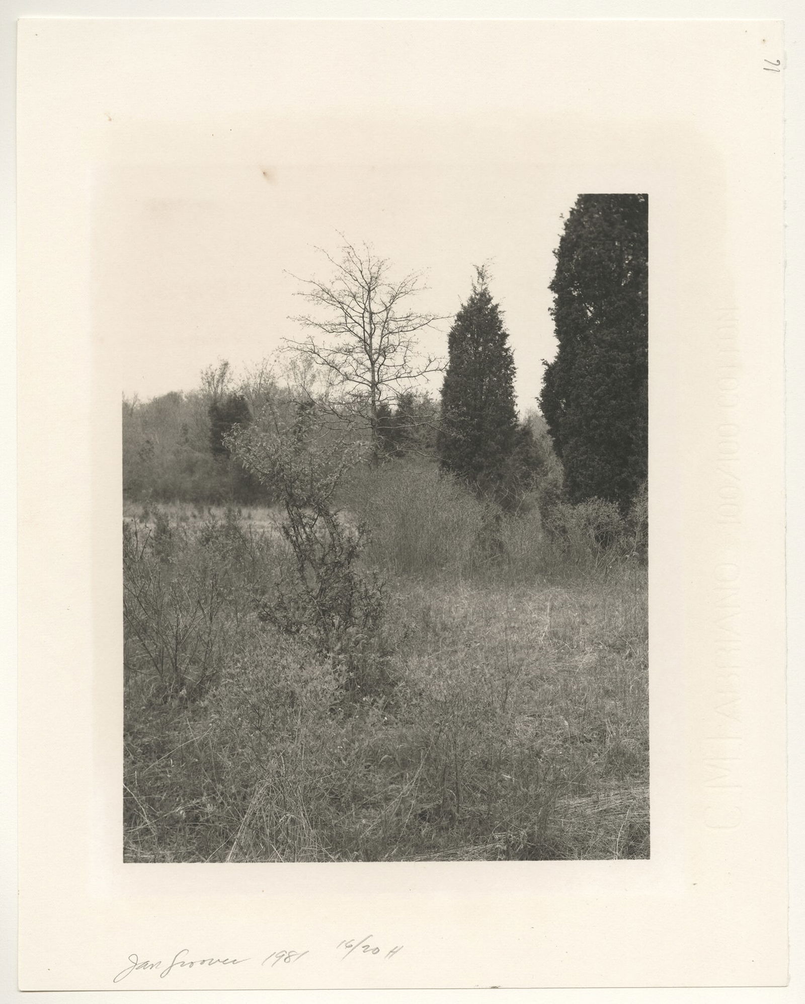 Jan Groover, Plain Fields, 1981 (1 of 1)