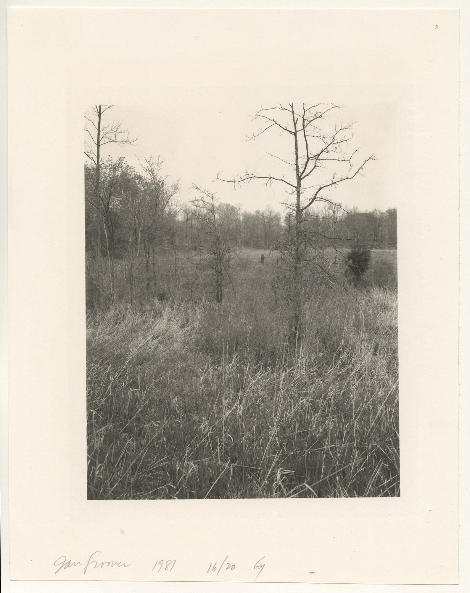 Jan Groover, Plain Fields, 1981 (1 of 1)