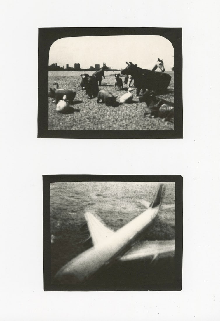 Ruth Thorne-Thomsen, 2 print lot (1 of 2)