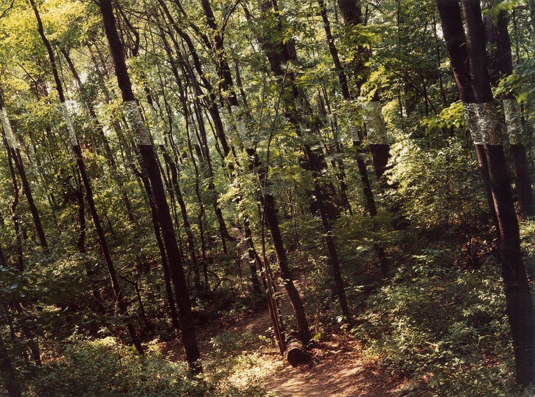 John Pfahl, Slanting Forest, 1975: John Pfahl, Slanting Forest, Leviston, New York, 1975. vintage chromgeninc print, printd 1981, 8 x 10 inches. Edition 46/100. Signed on the print verso Condition is excellent Altered Landscapes, Limit