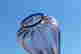 item-108756345=4
