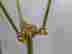 item-128968168=3