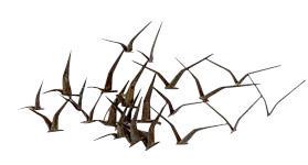 C. Jere Birds in Flight (1 of 5)