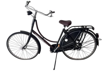 Limited Edition Hermes Bicycle