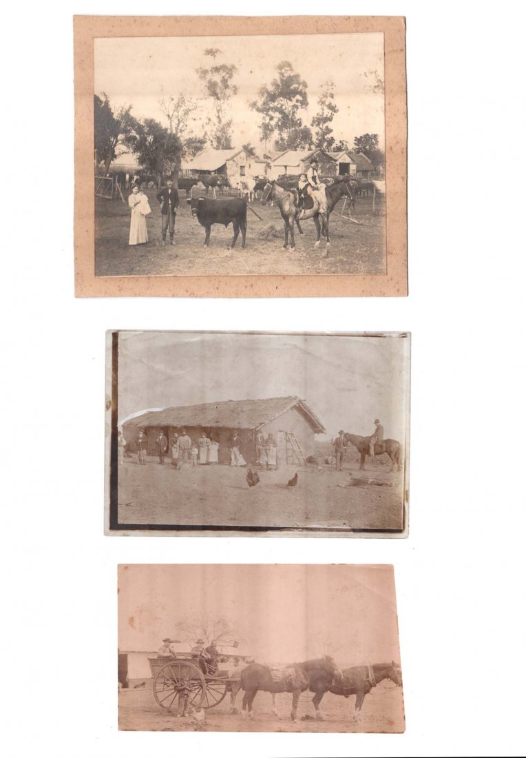 3 Gaucho Pampa Campo NO RESERVE: Interesting 3 sepia photos Typical pampa argentinian 13 cm x 18 cm
