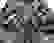 item-104919414=7