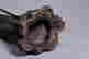 item-115215811=9