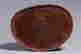 item-118415285=9