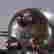 item-131165131=9