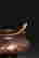 item-131165249=2