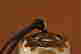 item-131165290=5