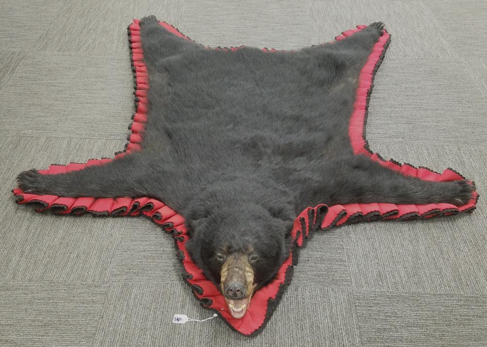 Black bear rug with head & claws- 54" tail to nose: Black bear rug with head & claws- 54" tail to nose