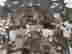 item-117081419=10