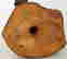 item-121351604=7